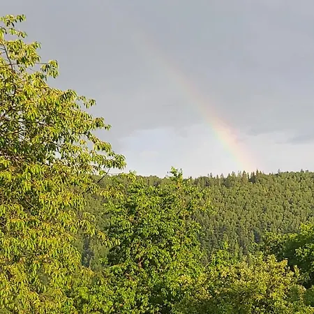 Guest house три серця чан баня Yaremche